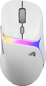 Glorious Model D 3 Wireless Vit