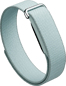 Google Fitbit Air Fog