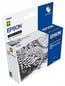 Bläckpatron Epson T0347 Ljus Svart