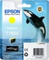 Bläckpatron Epson T7604 Gul