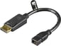 DELTACO Adapter DisplayPort ha till mini DisplayPort ho 0.15m