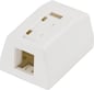 TP-vägguttag 1-port Cat6 Vit