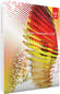 Adobe Fireworks CS6 Engelsk för PC