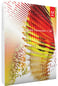 Adobe Fireworks CS6 Svensk för MAC