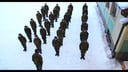 Harlem Shake (Original Army Edition)