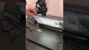 Nyhetsvideo 1