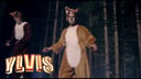 Ylvis - The Fox (What Does The Fox Say?) [Official music video HD]
