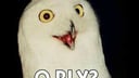 O RLY