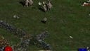 Diablo II- The Secret Cow Level